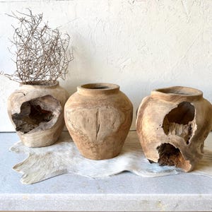 Teak Root Wood Sculpture Planter | Organic Modern Vessel, 10"