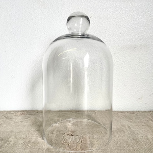 Glass Display Cloche Dome 16”