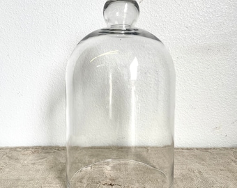 Glass Display Cloche Dome 16”