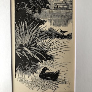 May include: A black and white illustration of a duck on a pond. The artwork shows a tranquil waterscape with reeds, a bird on a branch, and a distant building. The image is framed with a white mount.