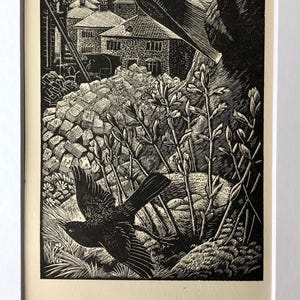 1933 C. F. Tunnicliffe Träsnitt – Fågelboträdgårdstryck 15x10 cm