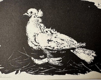 Litografía de Picasso «Paloma», impresión en blanco y negro de 1947, de la década de 1940, montada.