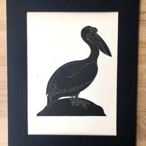 PELICAN Wood Engraving by Eric Fitch Daglish 1928, Mounted Print, Animal Wood Engraving.