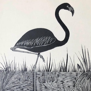 Flamingo Wood Engraving by Eric Fitch Daglish 1928, Mounted Print, Animal Wood Engraving.