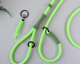 Slip Lead for Dogs, Slip Collar Training Leash, Neon Green & Black, DogTrakx USA