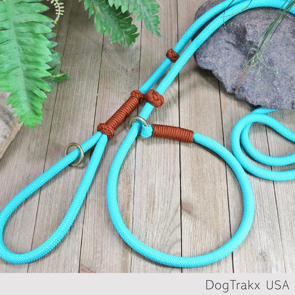 Slip Lead for dogs / Paracord Rope Slip Collar and Leash All in One / Teal & Rust or Black / Best Gift for Dog Owners / DogTrakx Handmade