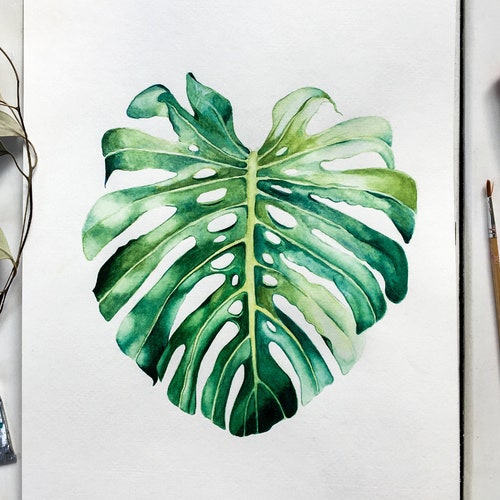 Monstera Leaf Watercolor Plant | Etsy