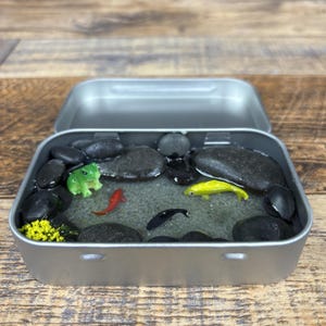 Pocket Pond – Miniature Pond in a Tin with Resin Water, Mini Fish, Frog & Plant – Stone-Lined Nature Diorama