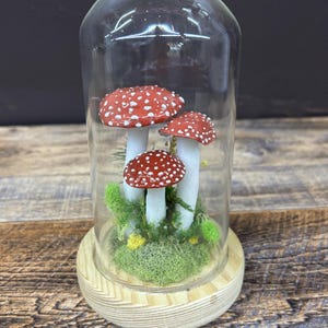 Amanita Mushroom Cloche – Handmade Clay Toadstools Under Glass Dome with Moss on Wooden Base