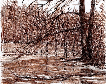 RICKS POND #2, 4" X 6" Fine Art Print by Bryan Miller, Landscape Drawing, Pen and Brown Ink, Hot Springs National Park, Arkansas