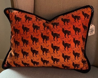 Chat Noir - Black Cat - Pillow