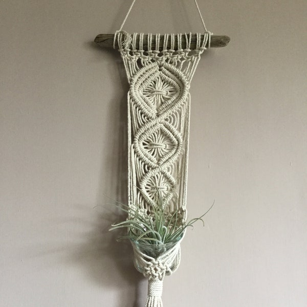 Air plant macrame holder, with live airplant, glass vessel and tiny shells! A complete gift! Hanging planter, boho style