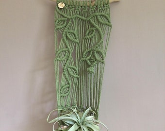 Macrame plant hanger, wall hanging planter, garden room decor