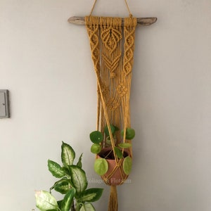 May include: Mustard yellow macrame plant hanger with a terracotta pot holding a green plant. The macrame design features diamond and floral patterns, suspended from a natural wood piece. The plant hanger is hanging on a light grey wall.