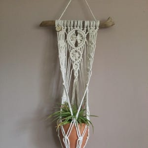 May include: A cream-coloured macrame plant hanger, suspended from a natural wooden branch. The plant holder cradles a terracotta pot with a green plant. The design features intricate knotting patterns and a long tassel.