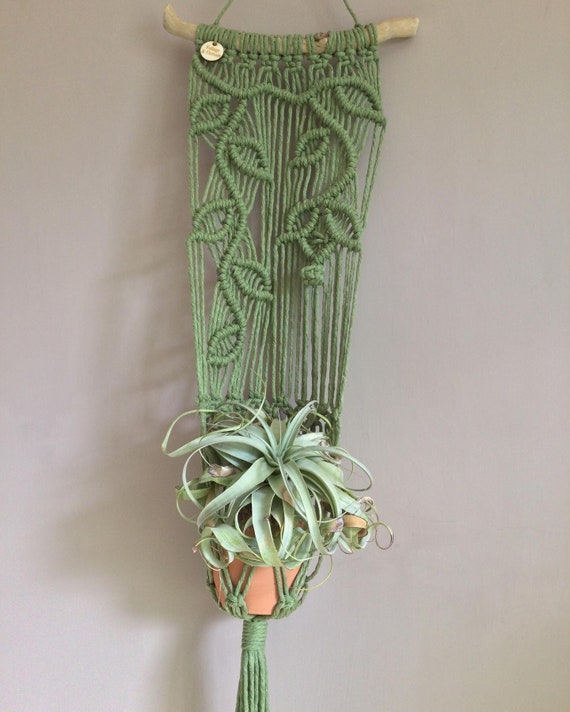 Macrame plant hanger, wall hanging planter, garden room decor