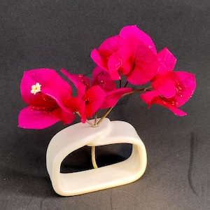 Puede incluir: Un pequeño jarrón de cerámica blanco con un diseño curvo único, que contiene vibrantes flores de buganvillas rosas. Las flores tienen algunos pequeños acentos blancos. El jarrón está sobre un fondo oscuro.