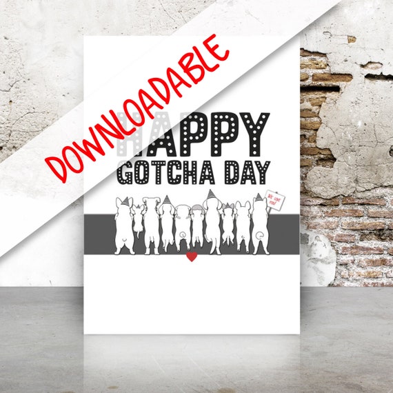 Happy Gotcha Day Digital Poster Downloadable Gotcha Day | Etsy
