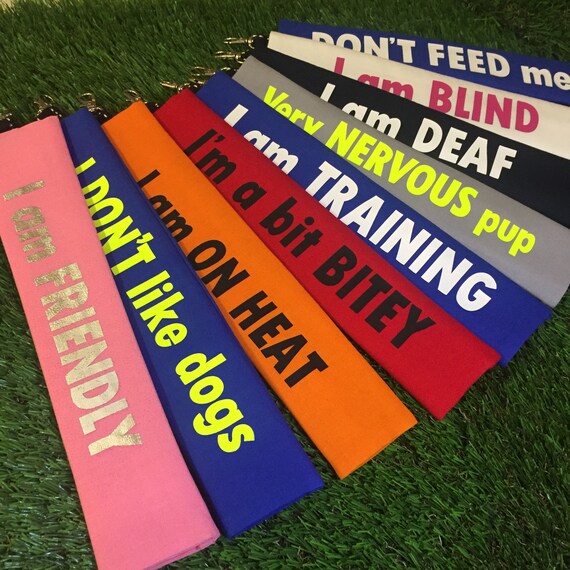 nervous dog lead cover