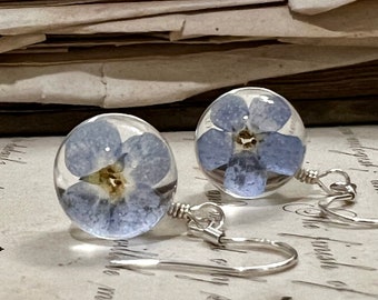 Forget Me Not Earrings, Real Flowers on Sterling Silver Earrings, Dried Pressed Flower Jewelry, Blue Blooms, Memorial Jewelry, Mothers Day