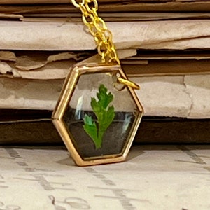 Tiny Fern Necklace, Real Dried Leaf in Resin, Botanical Jewelry, Hexagon Pendant, Natural Jewelry, Greenery