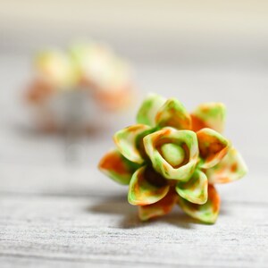 Rust Orange Succulent Earrings, Watercolor Succulent, Orange and Avocado Green Echeveria, Plant Lovers Succ Obsession, Succy Love