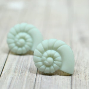 May include: Two light green, seashell-shaped decorative objects. The objects are made of a smooth material and have a spiral design. They are resting on a light brown wooden surface.