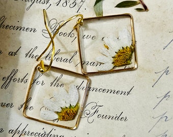 Oorbellen met witte madeliefjes, echte geperste bloemen in hars, sieraden met gedroogde bloemen, witte en gouden oorbellen