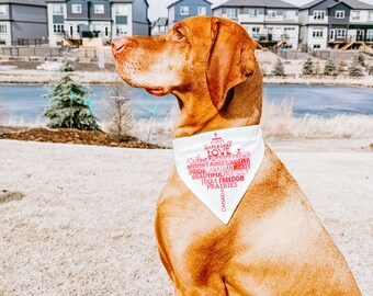 Download Pet Bandana Mockup Etsy