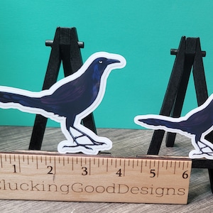 Grackle Bird Sticker Texas Passerine State Bird of Houston