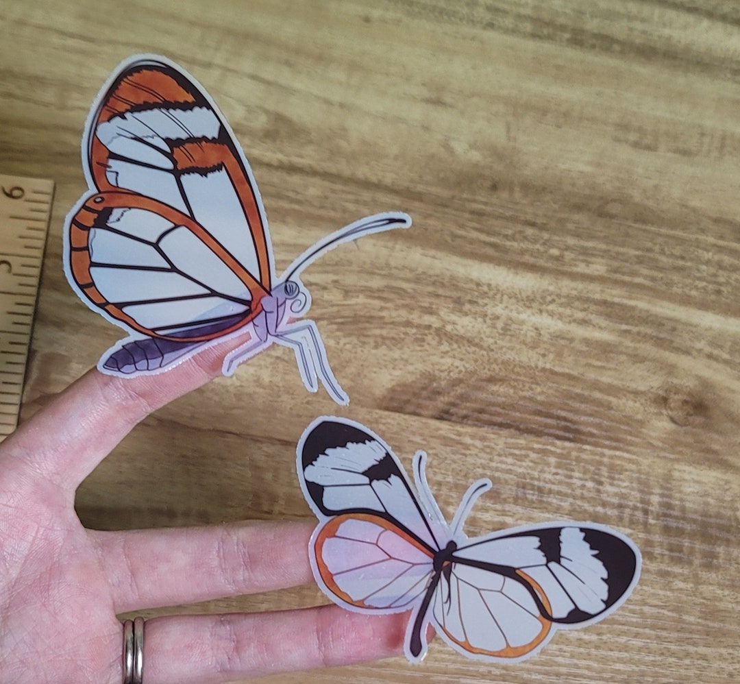 Glasswing Butterfly Clear Transparent Vinyl Sticker Etsy