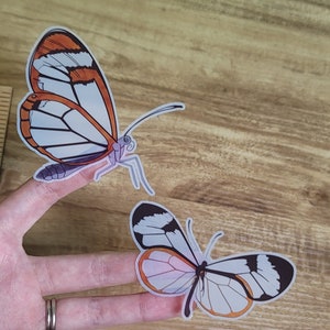 Glasswing Butterfly Clear Transparent Vinyl Sticker