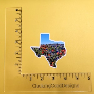 Texas Shape flowers semi transparent vinyl sticker  frosted gift art bluebonnet spring pattern