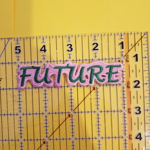 May include: Pink and green embroidered patch with the word "FUTURE" in a stylized font.