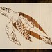 Turtle Stencil, Various Sizes, Reusable, Paint Ocean Sea Life Turtles Bathroom Art Crafts Wall Decor Furniture Fabrics DIY Quick Dispatch