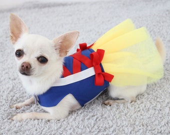 Puede incluir: Un chihuahua blanco con un disfraz de Blancanieves azul y rojo con una falda de tul amarilla. El disfraz tiene un lazo rojo y un ribete blanco.