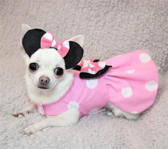 Dog minnie mouse dress sale