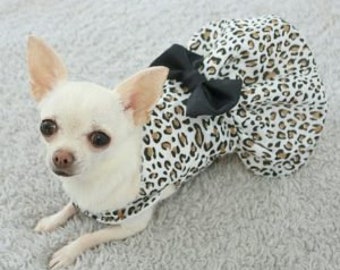 May include: A white chihuahua wearing a brown and black leopard print dress with a black bow.