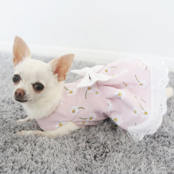 Chihuahua Clothes Etsy
