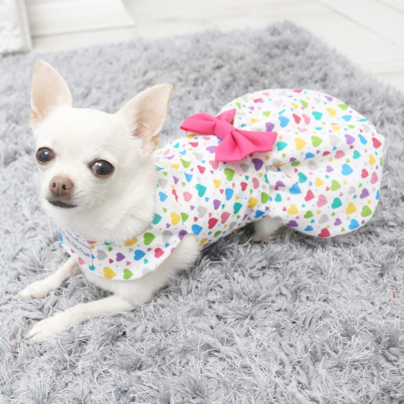 LGBT Inspired Multi-Coloured Love Hearts Dog Dress Pretty Little Paws