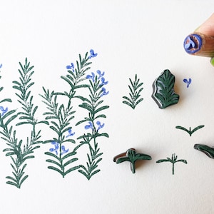 Rosmarino in 4 timbri , kit di 4 timbri, timbro floreale, pianta officinale, timbro floreale decorativo, timbro spezia di rosmarino
