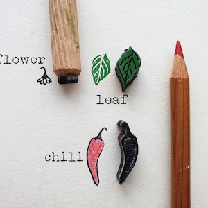 Timbro peperoncino, kit 3 timbri, peperoncino, foglia, fiore Disegna la tua pianta di peperoncini, cornetto portafortuna, decorazione agenda