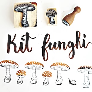 Kit timbri 2 funghi e una lumaca, 3 timbri per decorare il tuo diario, cartoline e packaging, un meraviglioso strumento per scrapbooking