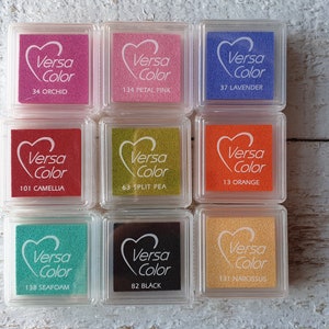 Può includere: Nove tamponi d'inchiostro in custodie di plastica trasparente, ognuno con un tampone d'inchiostro di colore diverso e il nome del marchio "Versa Color" stampato sul davanti. I colori dei tamponi d'inchiostro sono orchidea, rosa petalo, lavanda, camelia, pisello spaccato, arancione, schiuma di mare, nero e narciso.