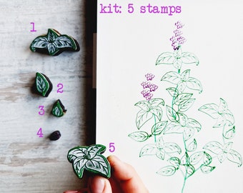 Basivco Stamp, Kit of 5 Stamps for Decorating Paper, Fabric and Wood, Greeting Cards, Journal, for Labeling and Decoration