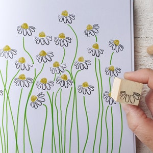 Kamillenstempel: zwei Briefmarken, um eine Blumenwiese aus Kamille, Matricaria zu komponieren