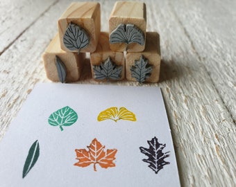 Leaf stamp kit, 5 stamps, Mini or Medium, with leaves of various trees, Maple, Olive, Catalpa, Oak, Ginko