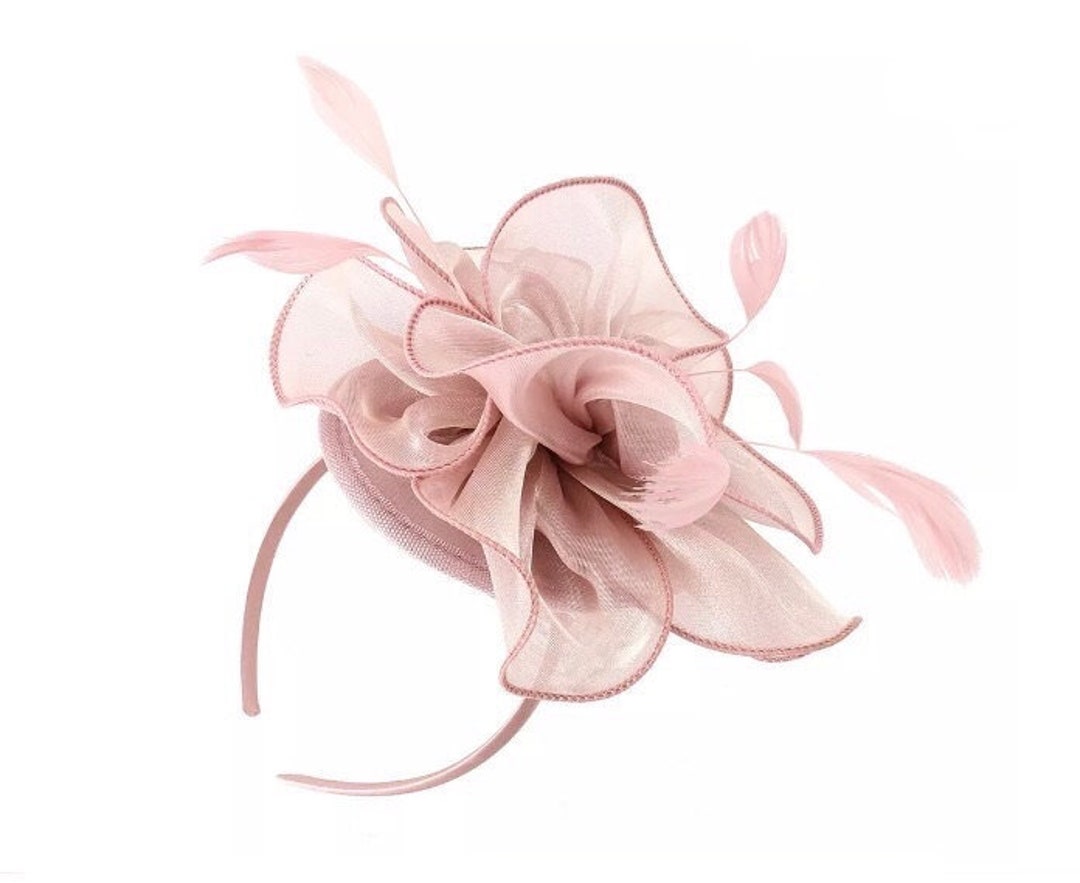 Blush Fascinator Baby Pink Fascinator Nude Fascinator Hat Light Pink Fascinator Fascinators Fascinator Hat Blush Derby Hat Ascot Hat Etsy UK