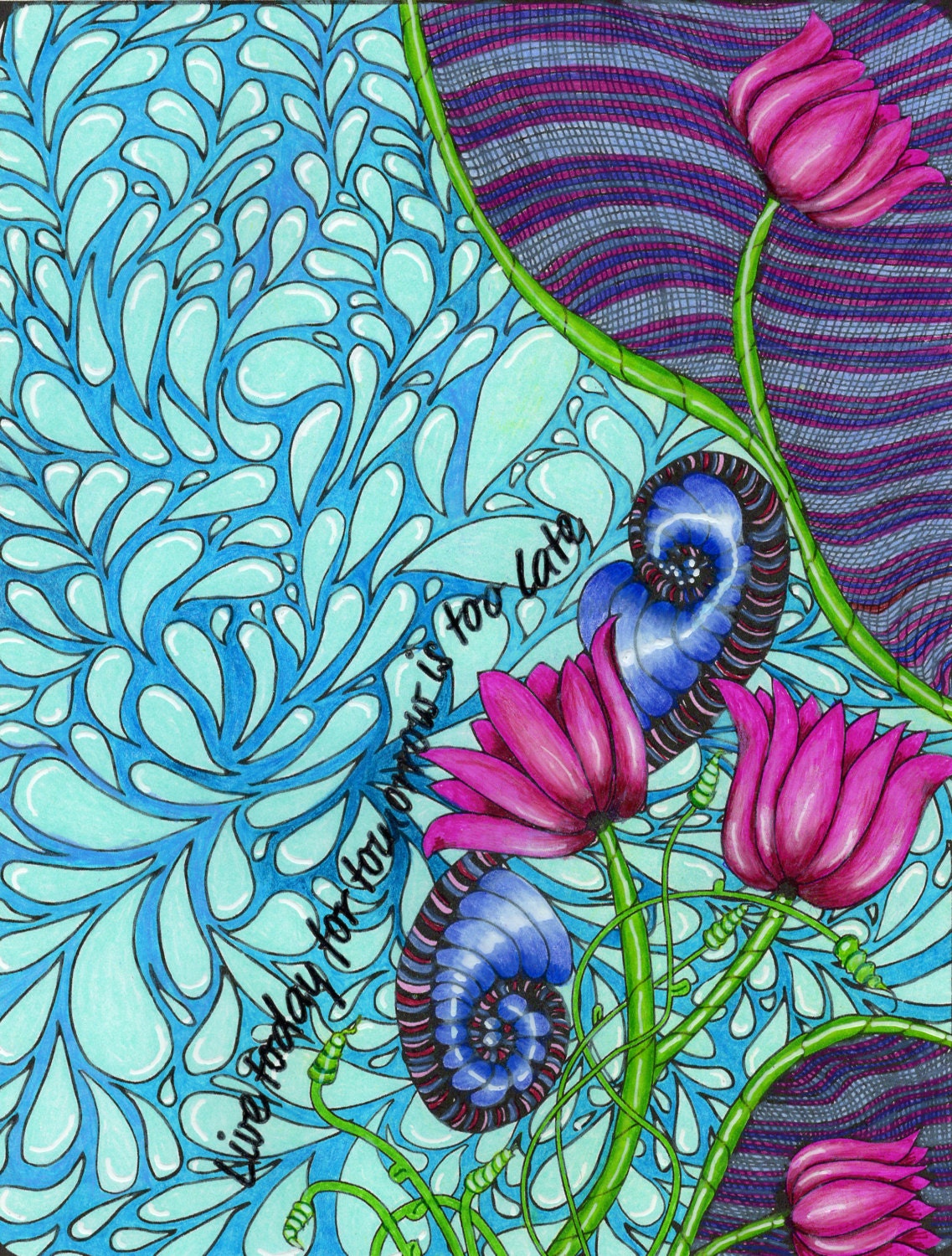 Lily Splash Adult Coloring Page - Etsy