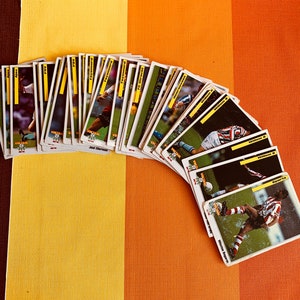 Veel Vintage Voetbalkaarten Nederland Voetbal Panini 1994